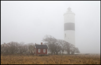 A very foggy day - waiting for the spring to arrive..