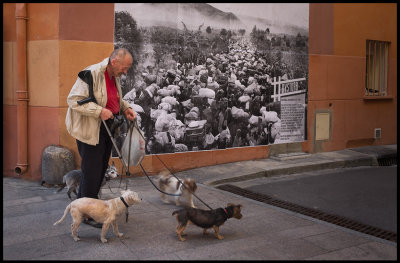 Walking the dogs in Perpignan - Rwanda in memory