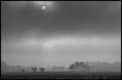 Evening fog near Kastlsa - land