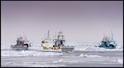 Fishing boats in the pack-ice between Japan and Russia