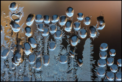 My son Martins window after a very cold night