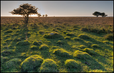 Sunrise over Schferiet - Ottenby