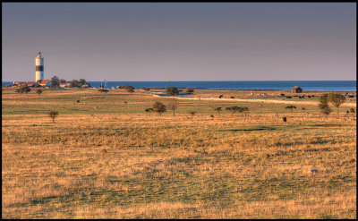 Ottenby with Hans stugor and lighthouse Lnge Jan - Seen fron NE just after dawn