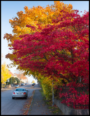 The Mercedes slk and fantastic autumn colors in Vxj