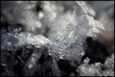 Frost crystals - Vxj