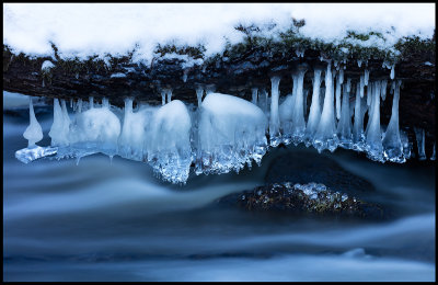 Ice formations under a log - Fyledalen Scania