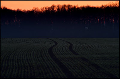 A field after sunset - Smedby