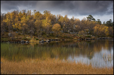 Small pond in northern Dalarna