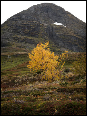 Autumn mountain near Laerdal 
