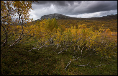 Autumn mountain near Laerdal - Norway