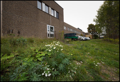 Lesjfors old office building 