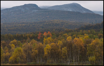 Autumn colors near Brekka