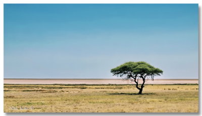 Etosha 17