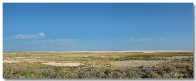 Etosha 13
