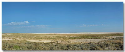 Etosha 13