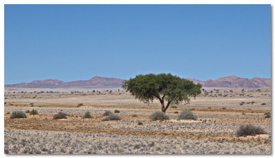 Aus+LuderitzI00008.jpg