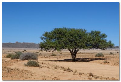 Aus+LuderitzI00009.jpg