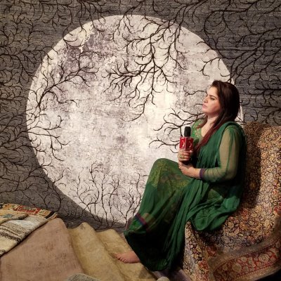Pakistan TV reporter broadcasting from 34TH Pakistan carpet expo