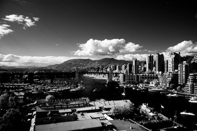 IMG_7768.jpg