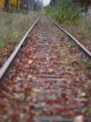 PB098001.JPG
