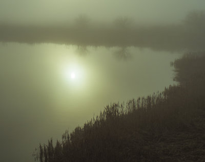_1250742-2.jpg
