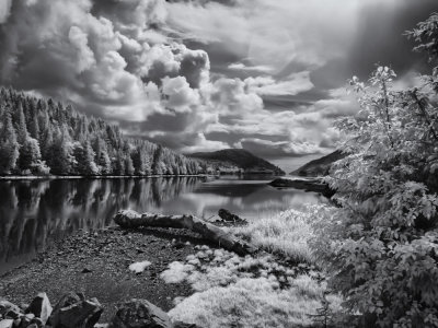 _6130004-Edit.jpg