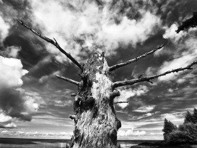 _6130039-Edit.jpg