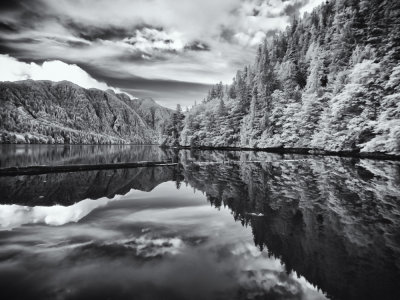 _6130043-Edit.jpg