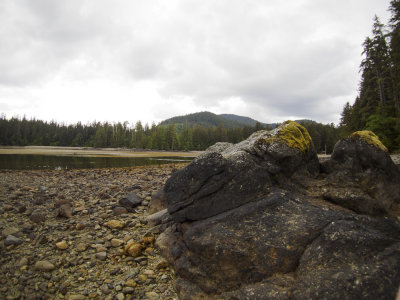 _6150410.jpg