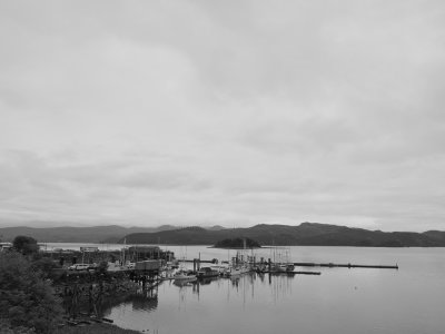 _6170703.jpg