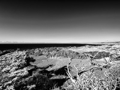 _6190117-Edit.jpg