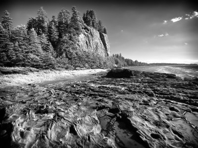 _6190123-Edit.jpg