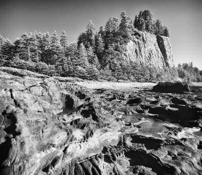 _6190137-Edit.jpg