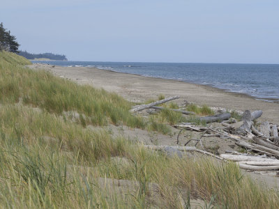_6200922.jpg