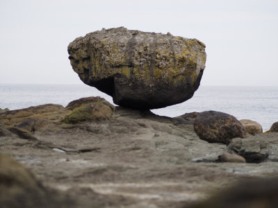 _6200927.jpg