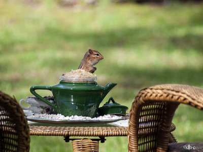 tea.jpg