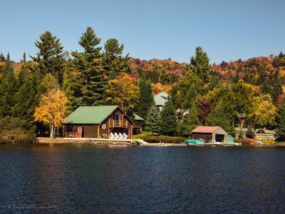 from the dock.jpg