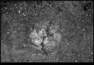 Sh2-124 - Sharpless 124