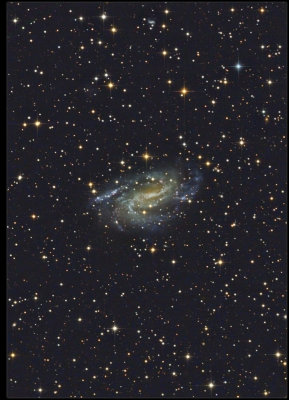 NGC 925 Barred Spiral Galaxy