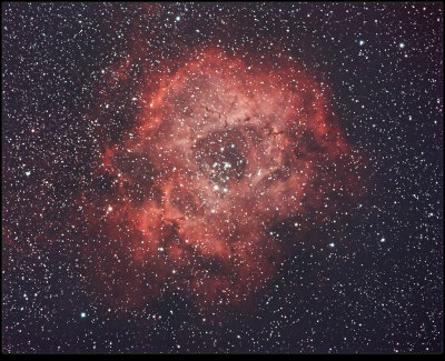 NGC 2237 Rosette Nebula