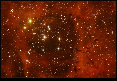 NGC 2244 Rosette Nebula Open Cluster