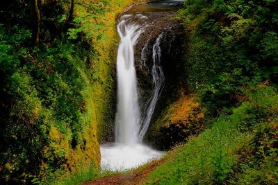 Ponytail Falls