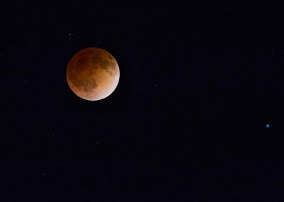 Blood Moon 
