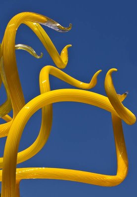 The edge of Chihuly's Sun
