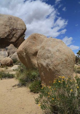 HIdden Valley