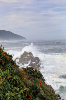 South Africa's Storm River Mouth, in the Tsitsikamma National Park 