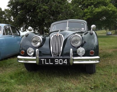 Jaguar XK140.jpg