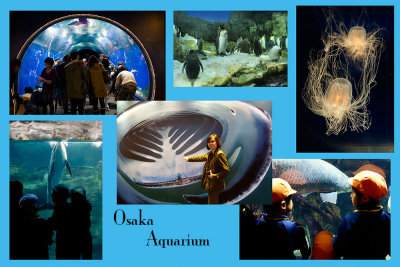 Osaka-Aquarium.jpg