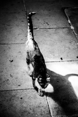 g9/30/912130/3/158018007.SEl5YLLO.jpg