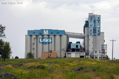 United Grain Growers Terminal M